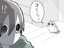 しっかり言葉喋ってない？ ネコの口から発される「コチュジャン」