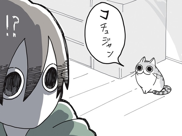 しっかり言葉喋ってない？ ネコの口から発される「コチュジャン」
