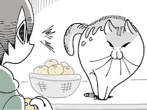 ネコが警戒？ こたつでぬくぬくな飼い主が手に取ったのは