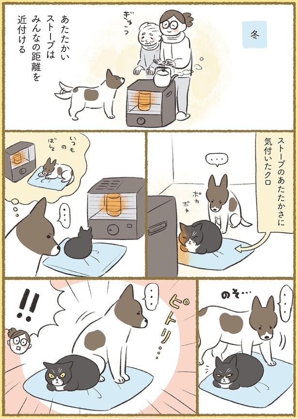 ピトリ…