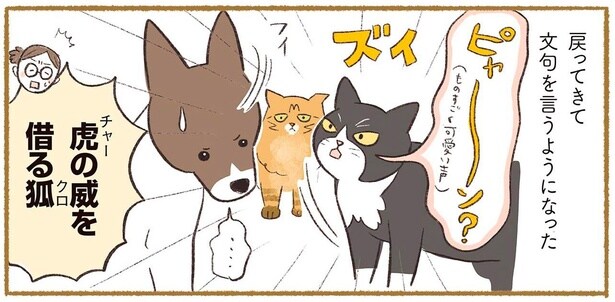 虎の威を借る狐