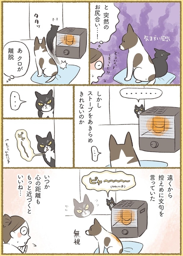 突然のお尻合い…！