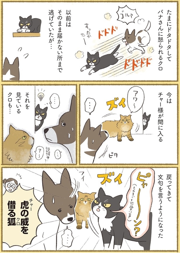 戻ってきて文句を言うようになった
