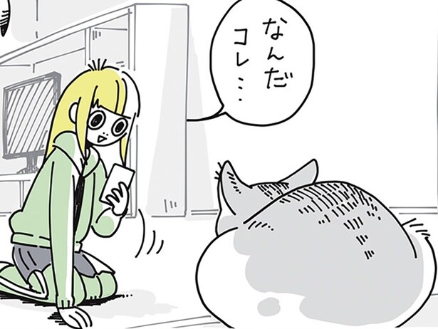 不思議なことが起こって…