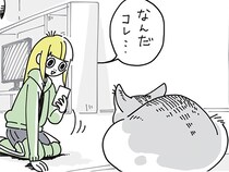 「二次元コードを認識。読み取りますか？」ネコの名前を決めるきっかけ