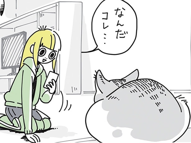 「二次元コードを認識。読み取りますか？」ネコの名前を決めるきっかけ