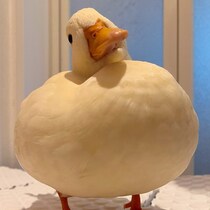 深刻な表情で考え込んでいる、まんまるなあひるの"まさかの展開"に「愛くるしい」の声