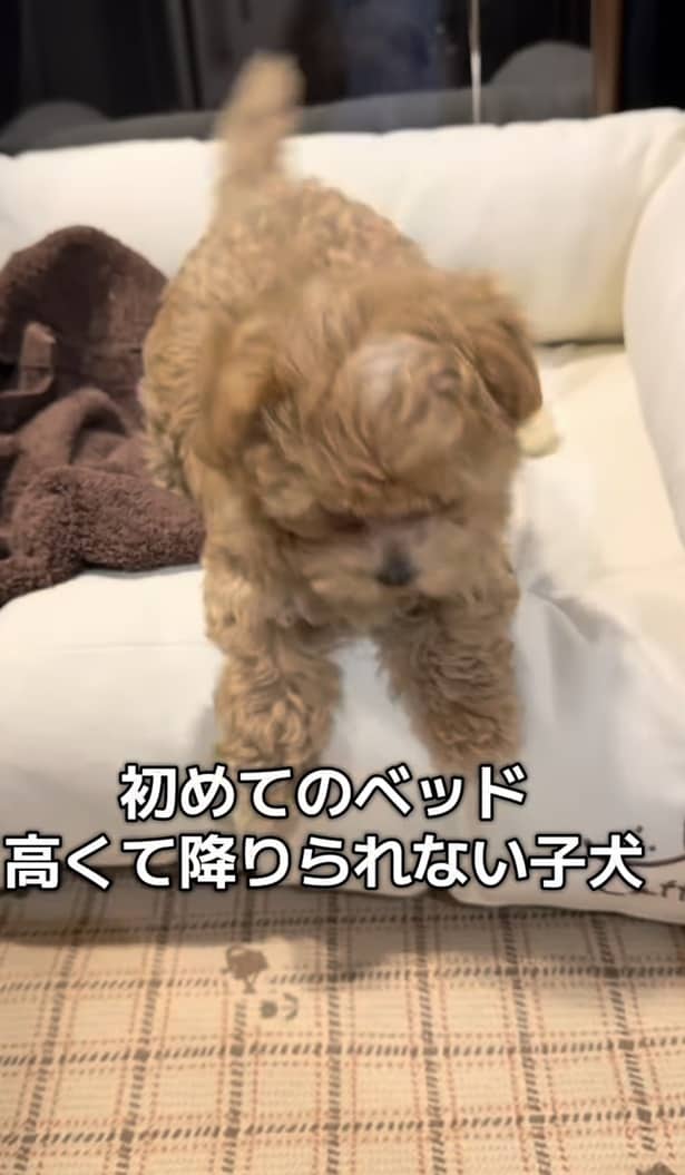 ベッドから降りてみる▶怖くなり…（⇒次へ）