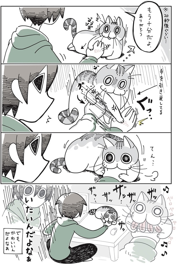 もう十分だよ