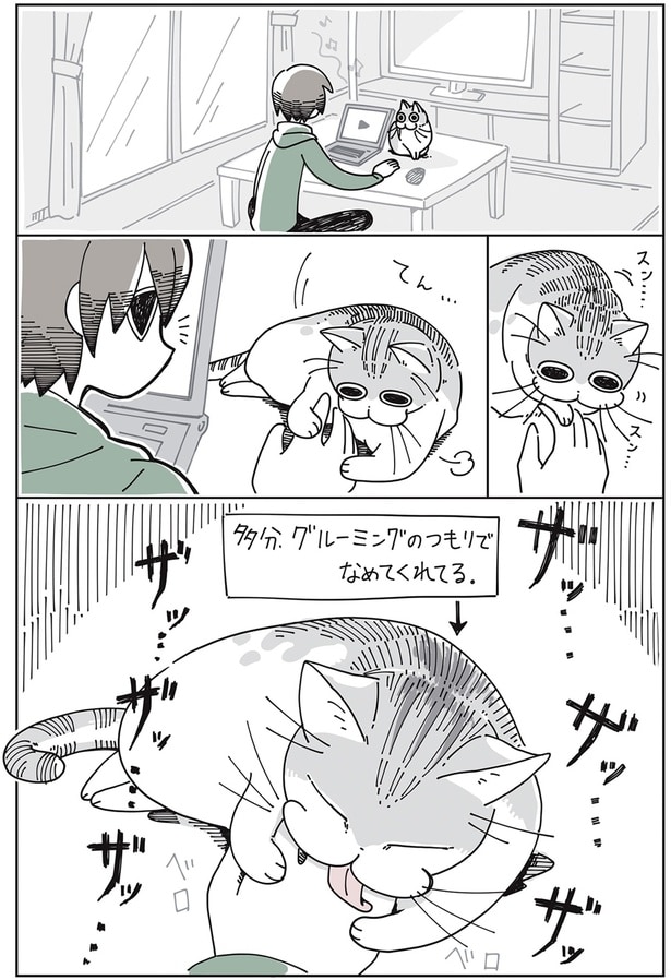 ザッザッ…