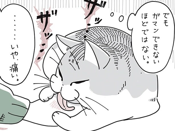 ガマンできないほどじゃ…