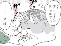 嬉しいけど、痛いんだよなぁ。おそらく愛情をもってグルーミングしてくれる猫