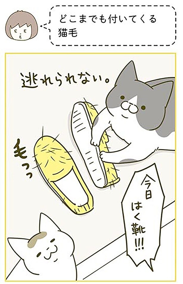 どこまでも付いてくる猫毛