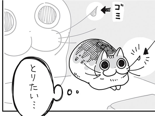 とりたい…