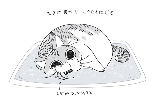 ヒゲがつっかかってる