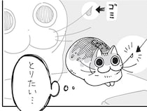 ゴミがくっついてるネコのヒゲ。触られたくないのは分かるけど、気になる！