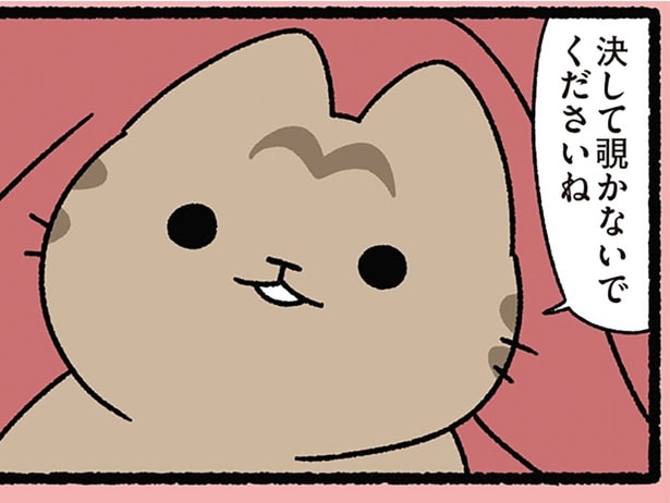 決して覗かないでくださいね