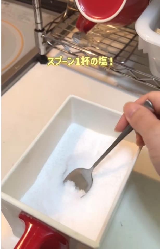 スプーン1杯の塩▶マグカップに入れて水を加えたあと…(⇒次へ)