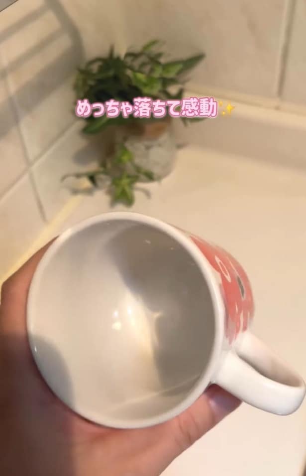 ピカピカに!▶(次画像から毎日を楽しく過ごすためのヒントが満載!『メンタル強め美女白川さん5』が読めます)