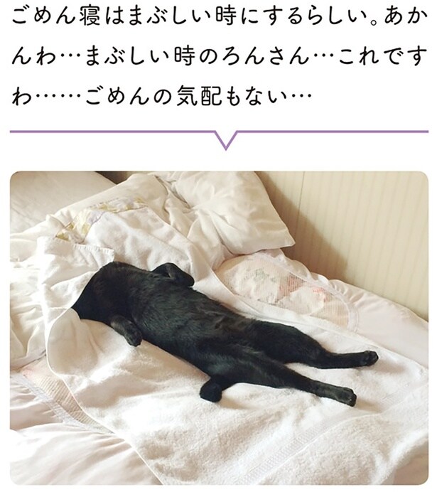 ごめんの気配もない…