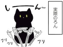 あれっ、興味ないの？ねこじゃらしへの反応が意外な黒猫ろん