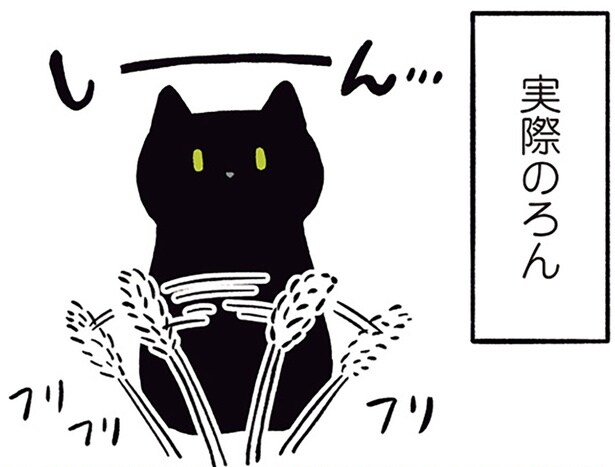 あれっ、興味ないの？ねこじゃらしへの反応が意外な黒猫ろん