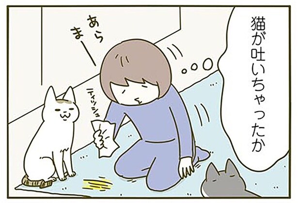 猫が吐いちゃったのかな。買ったばかりのカーペットの異変
