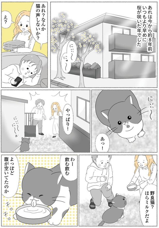 猫の声しないか？