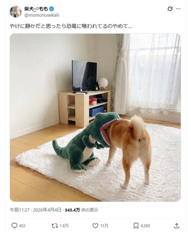やけに静かだと思ったら…▶柴犬ももちゃん、ピンチ！（⇒次へ）