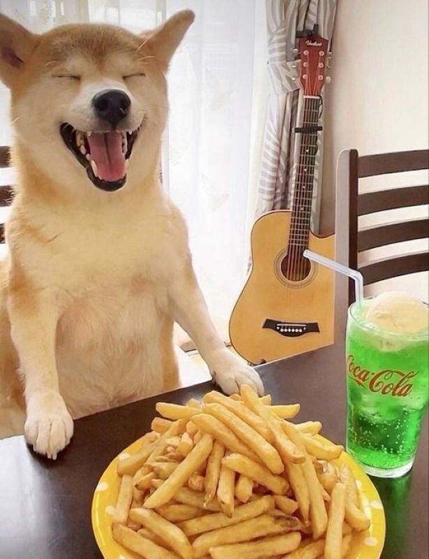 ポテトに興奮！？とっても楽しそうな表情です▶花見のハシゴに誘うももちゃん（⇒次へ）