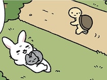 【うさぎとかめとねこ】競争の最中に寝ていると？ 仲良しな動物たちが愛らしい