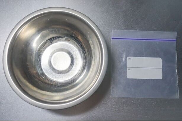 【真空パック】用意するのはジッパー付き保存袋とボウルだけ（▶手順をチェック）