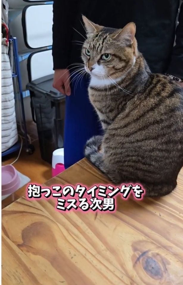 クールな表情の「ちゃちゃ」ちゃん（⇒次へ）