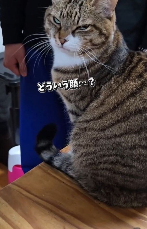 「抱っこしてもいい？」と聞かれたときの顔▶無理そうだけど…？（⇒次へ）