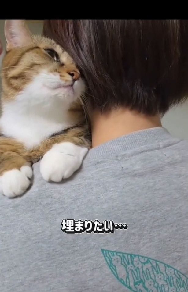 ママが大好き▶ママのバッグを見つけると…（⇒次へ）