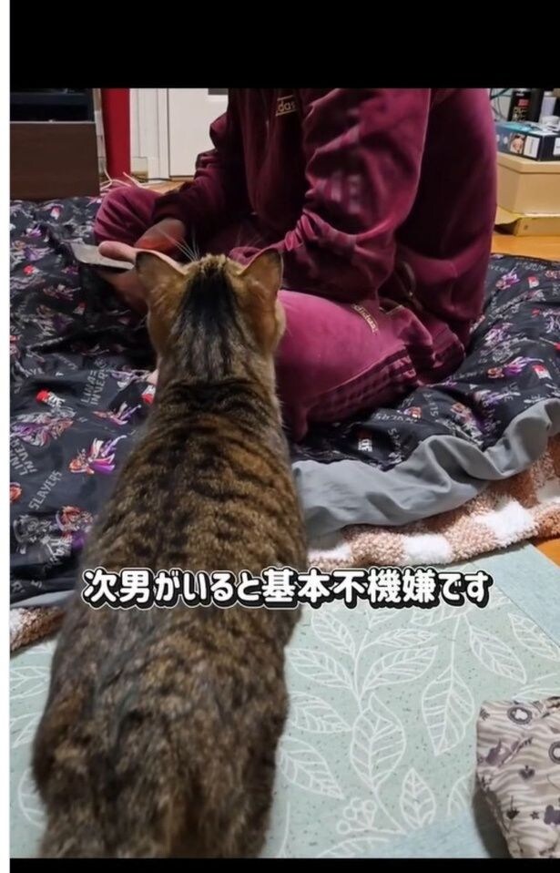 優しく名前を呼ぶ次男さん▶「ちゃちゃ」ちゃんがとった行動は…（⇒次へ）