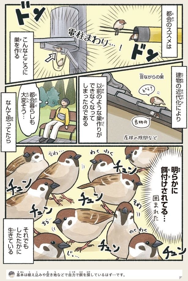 明らかに餌付けされてる…