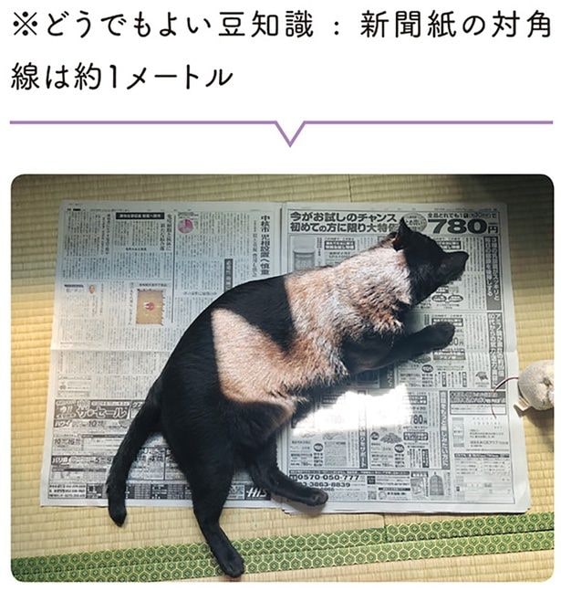 ※どうでもよい豆知識:新聞紙の対角線は約1メートル