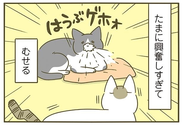 たまに興奮しすぎて