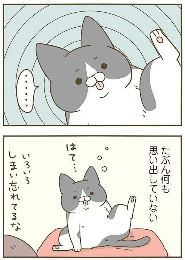思い出していない