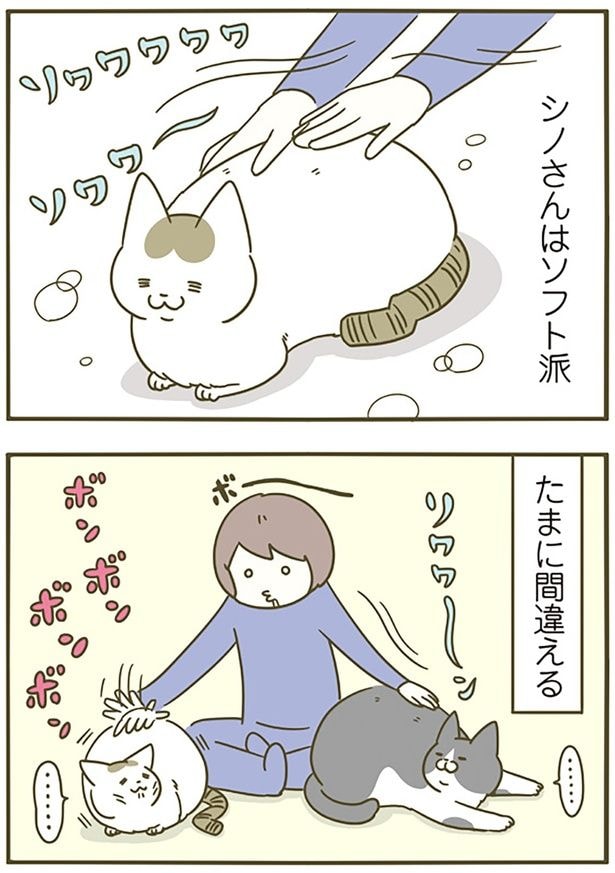 たまに間違える