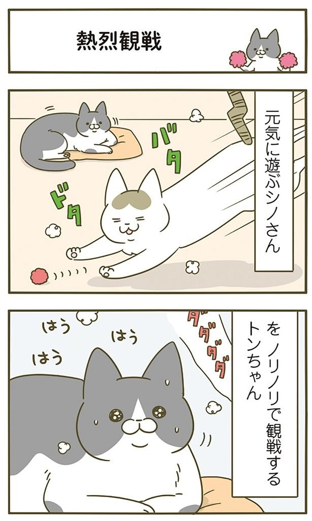 熱烈観戦