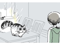 しっぽを膨らませている愛猫。まるでたぬきな様子に「すごく触りたい」