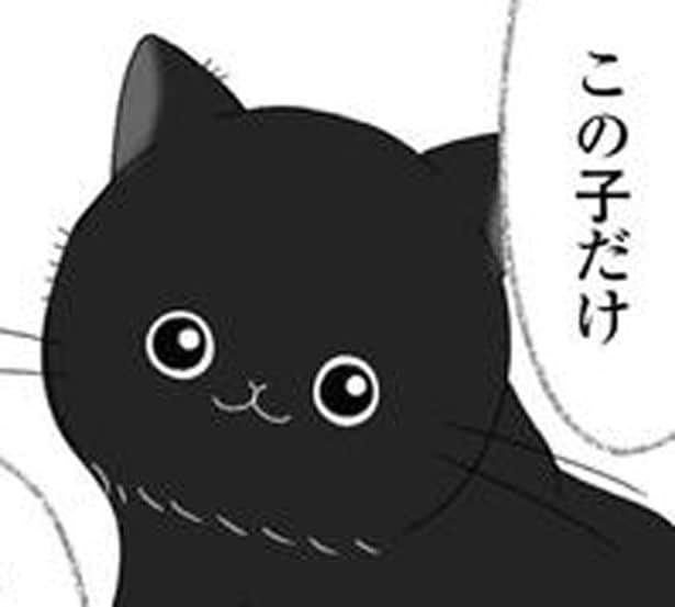 この子だけ引き取り手が見つからなくて