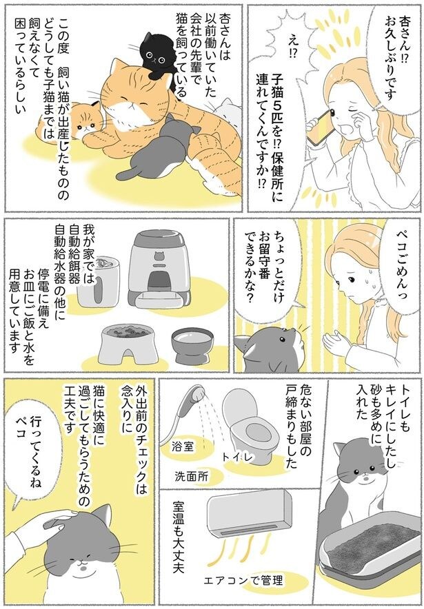 子猫5匹を!?