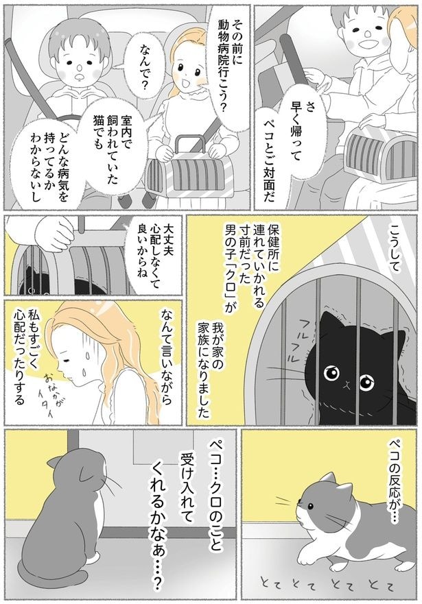 その前に動物病院行こう?