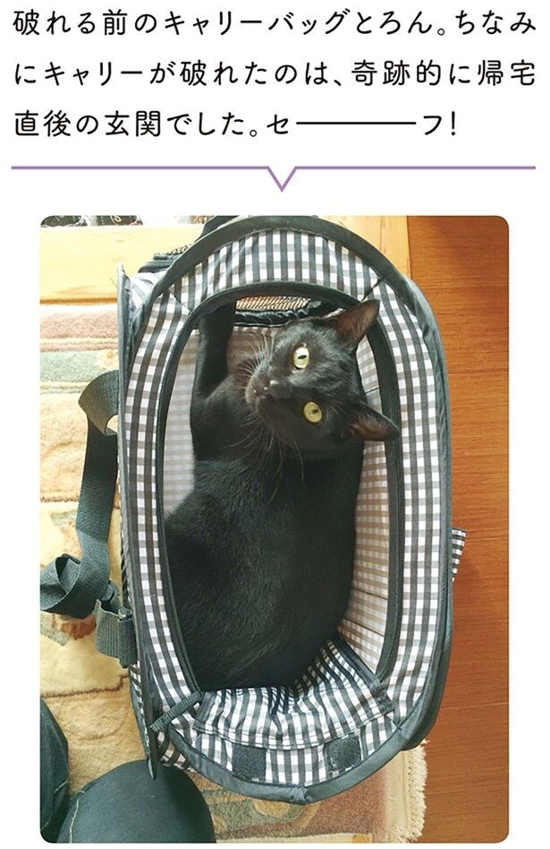 セーフ!