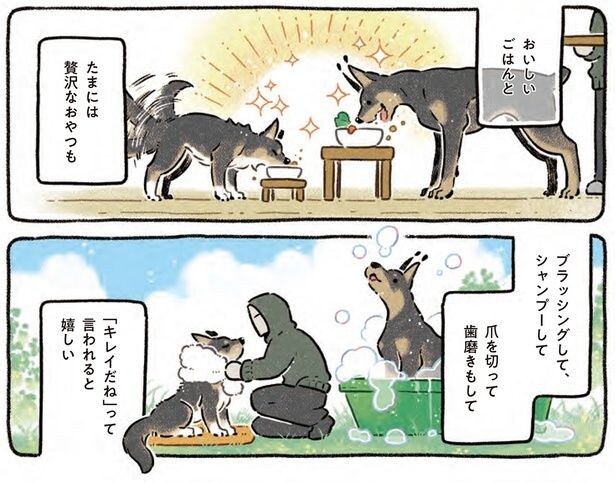 ブラッシングして、シャンプーして