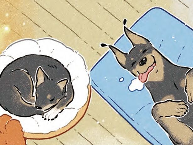 ペットではなく「家族」になりたい。犬と暮らすと決めたときに感じたこと