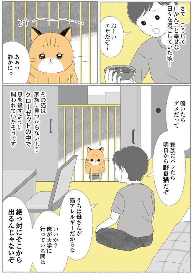 明日から野良猫だぞ